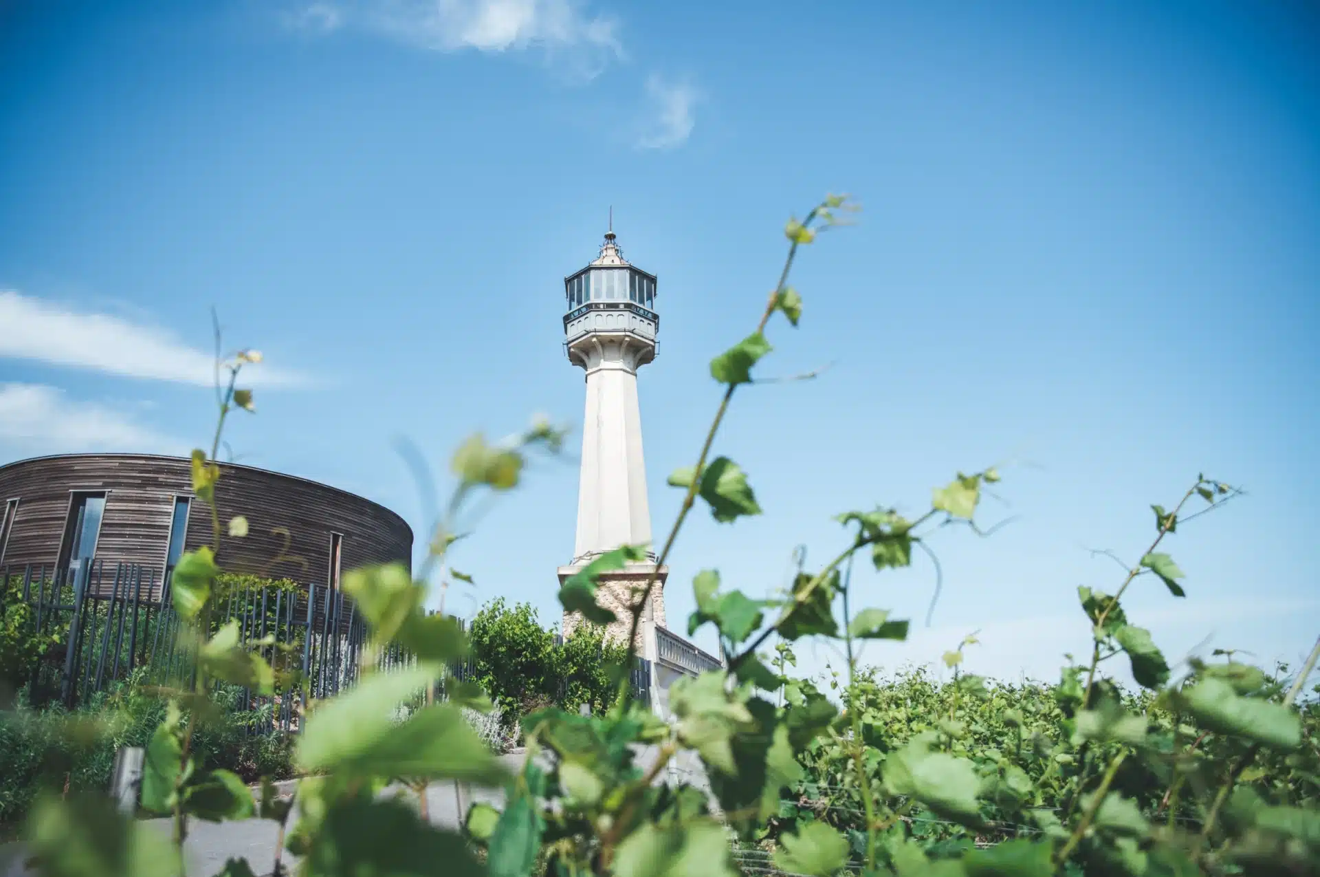 La Vigie #2 – Octobre 2022