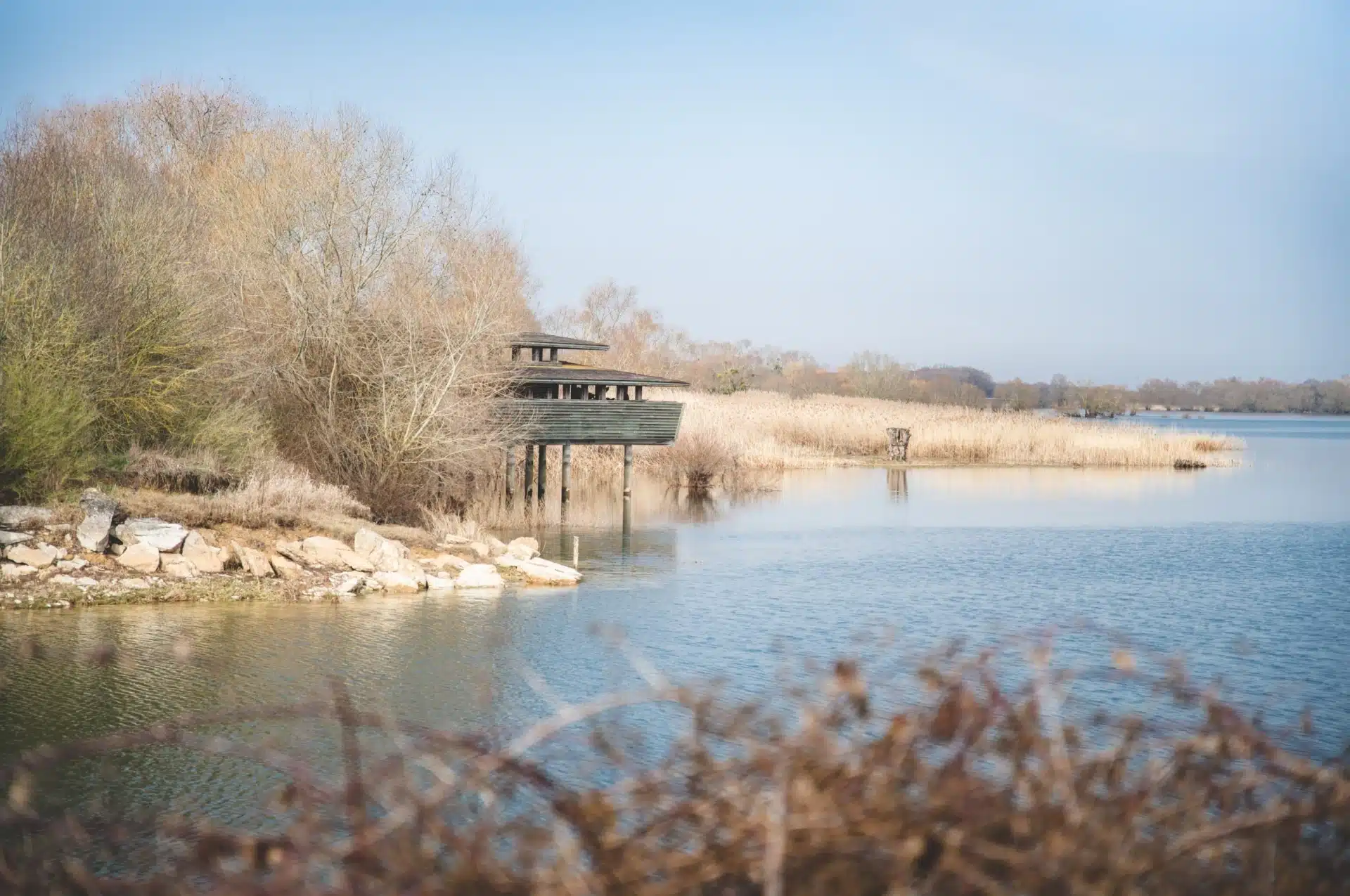 La Vigie #3 – Novembre 2022