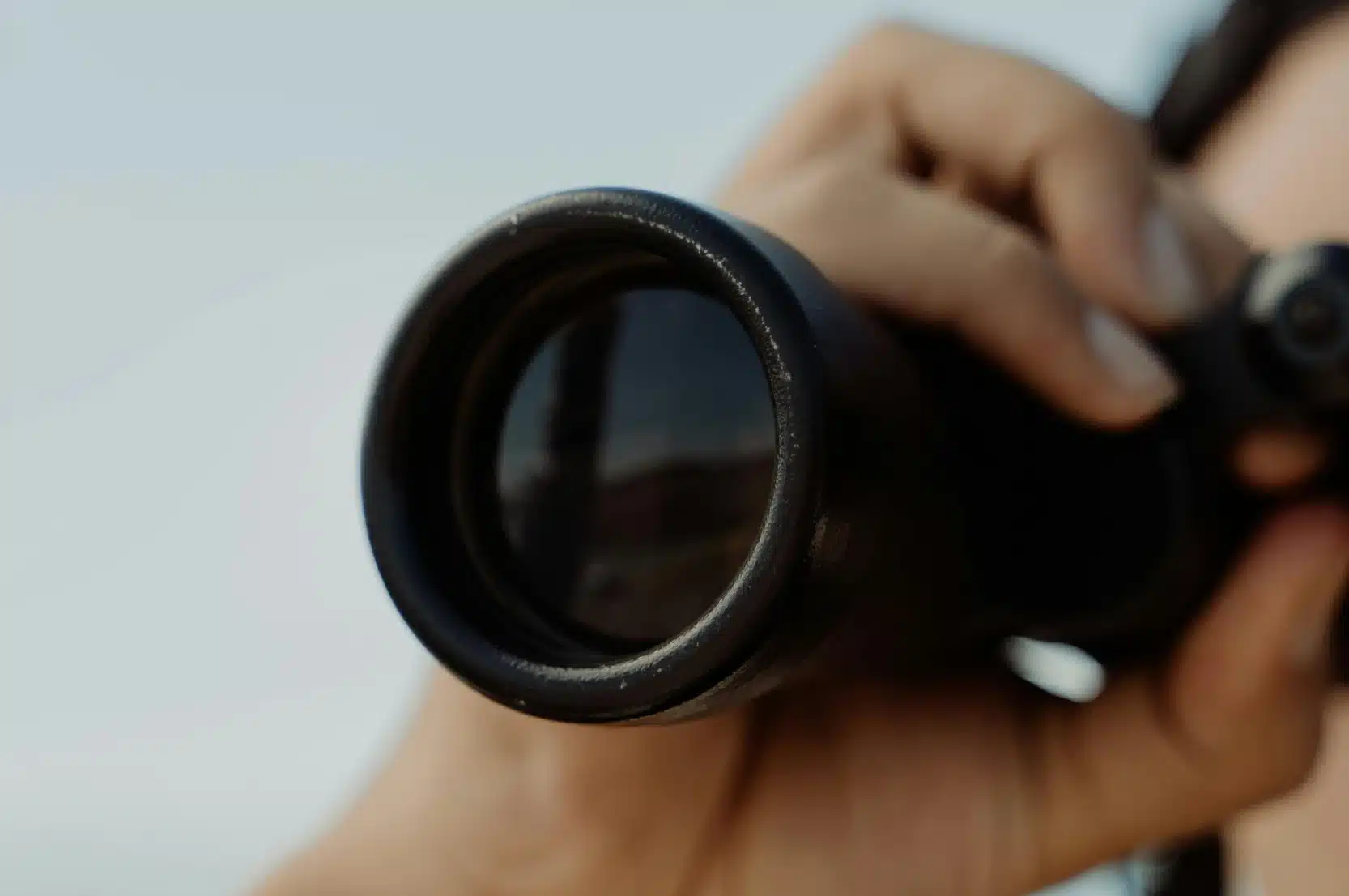 La Vigie #18- Mars 2024