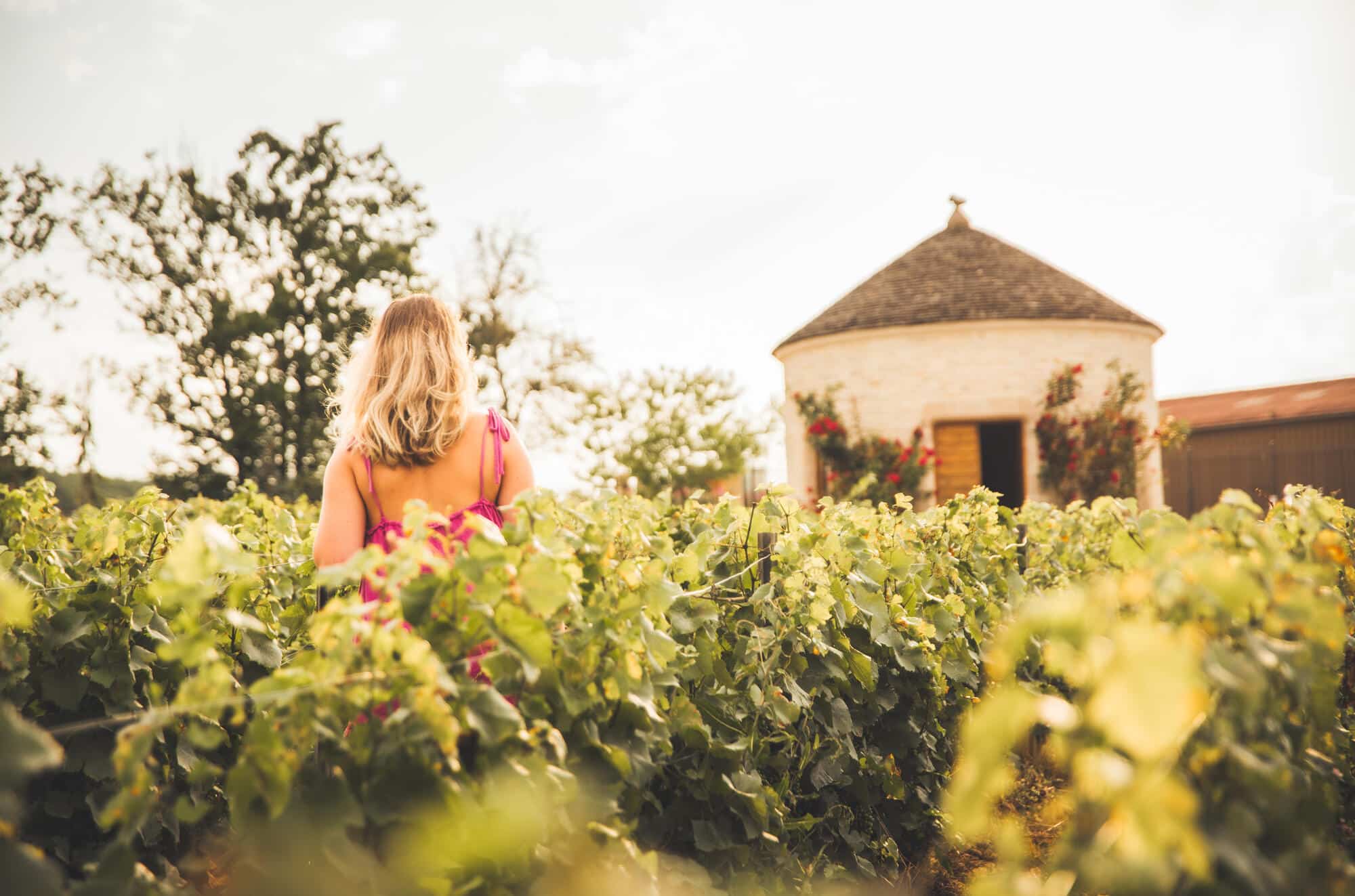 Balade-dans-les-vignes