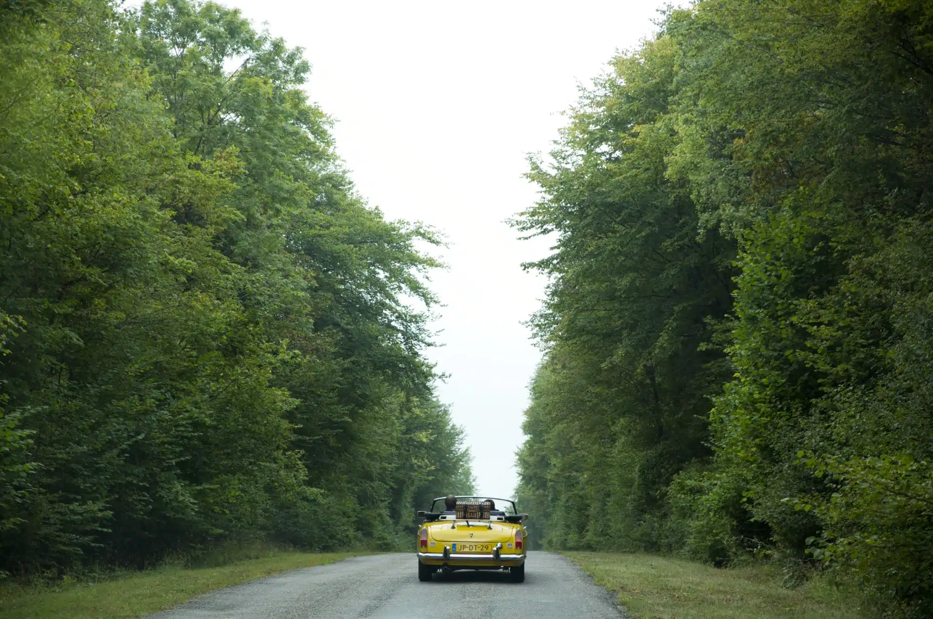 Disruption d’ici et d’ailleurs #16….Waynote, roadtrip audio pour faire de vos trajets, des voyages