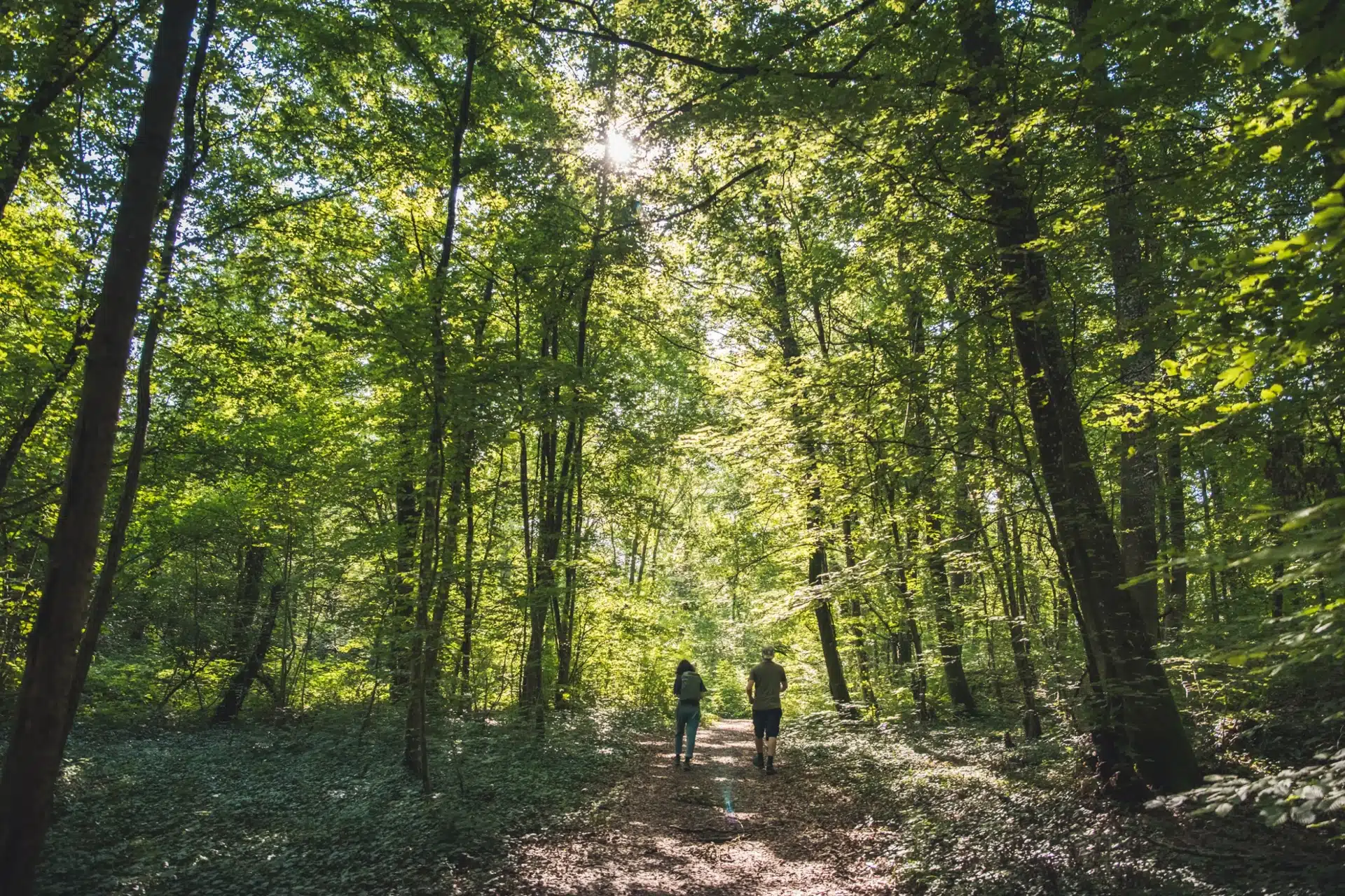 parcours_territoire_durable