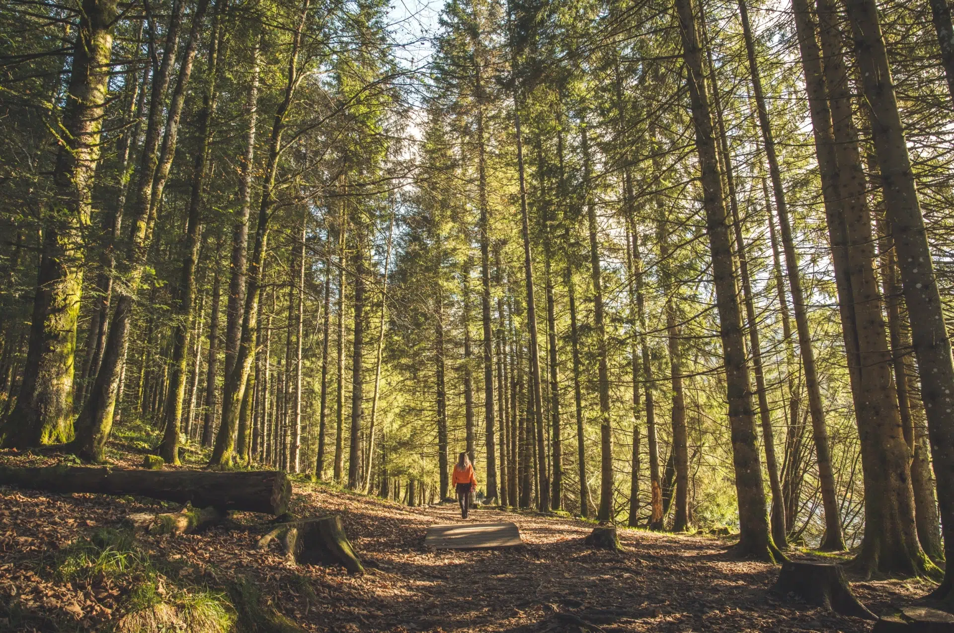 Bilan des émissions de GES du tourisme en France par l’ADEME