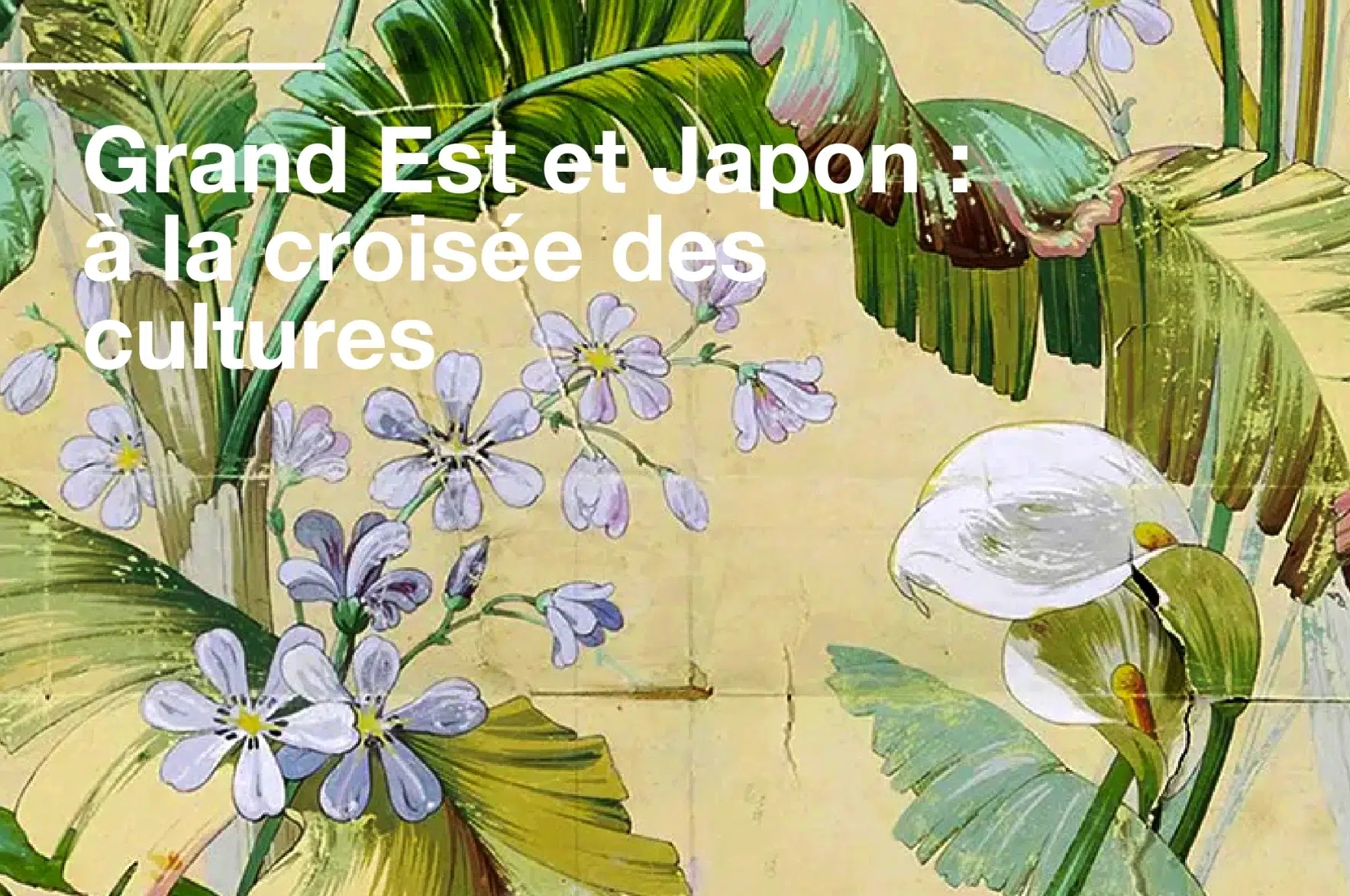 Dossier de presse sur les liens entre le Grand Est et le Japon