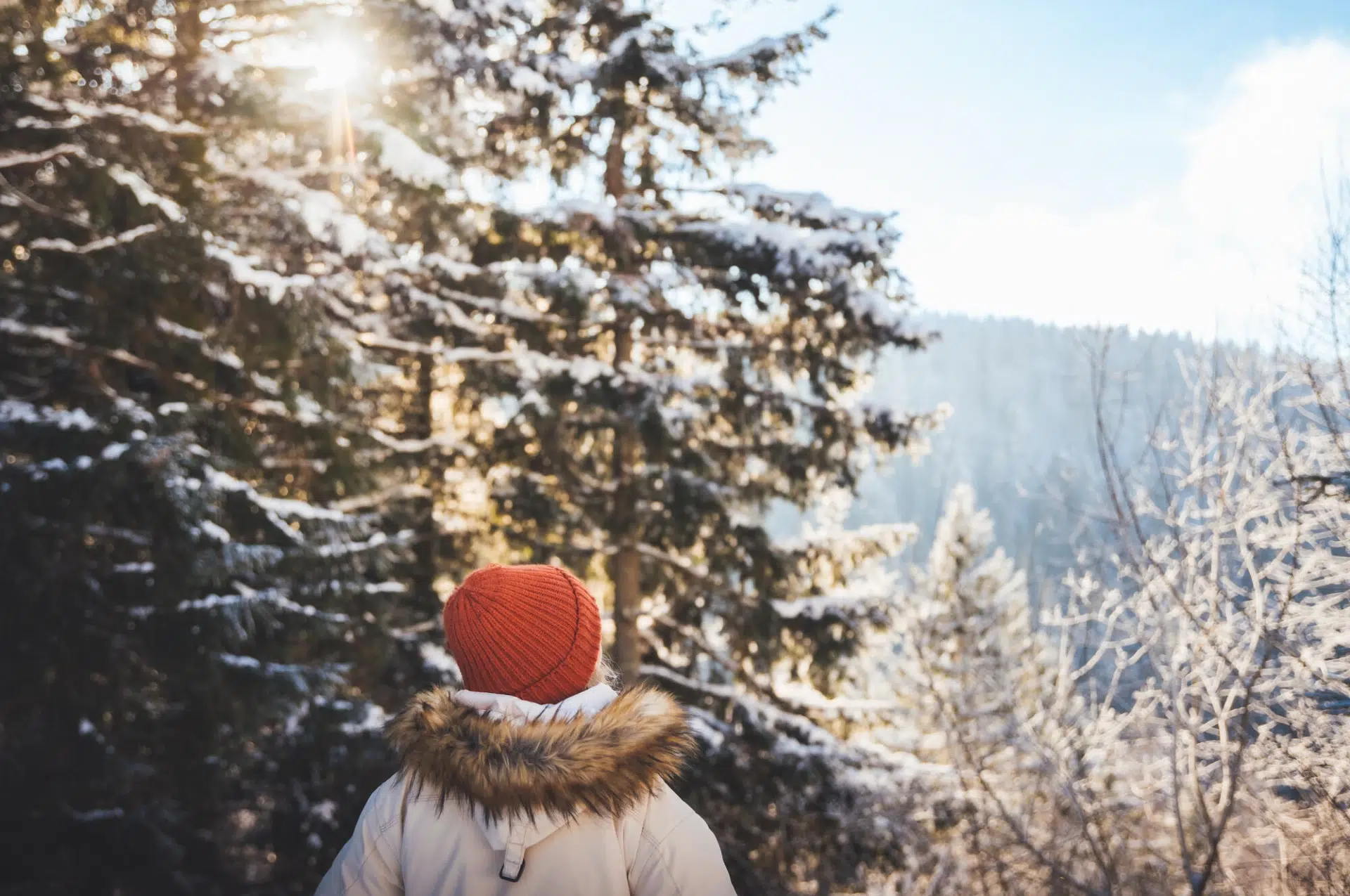 Les pratiques touristiques des habitants du Grand Est : nouvelles données 2024