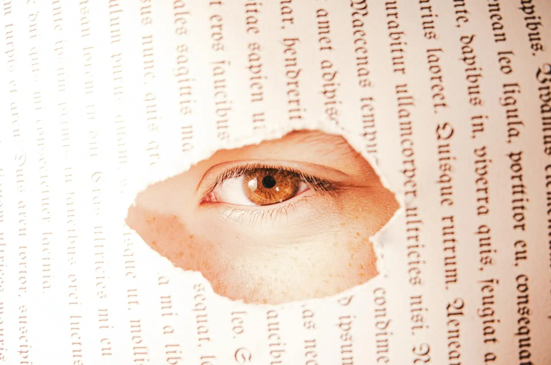 La Vigie #25 – Novembre 2024