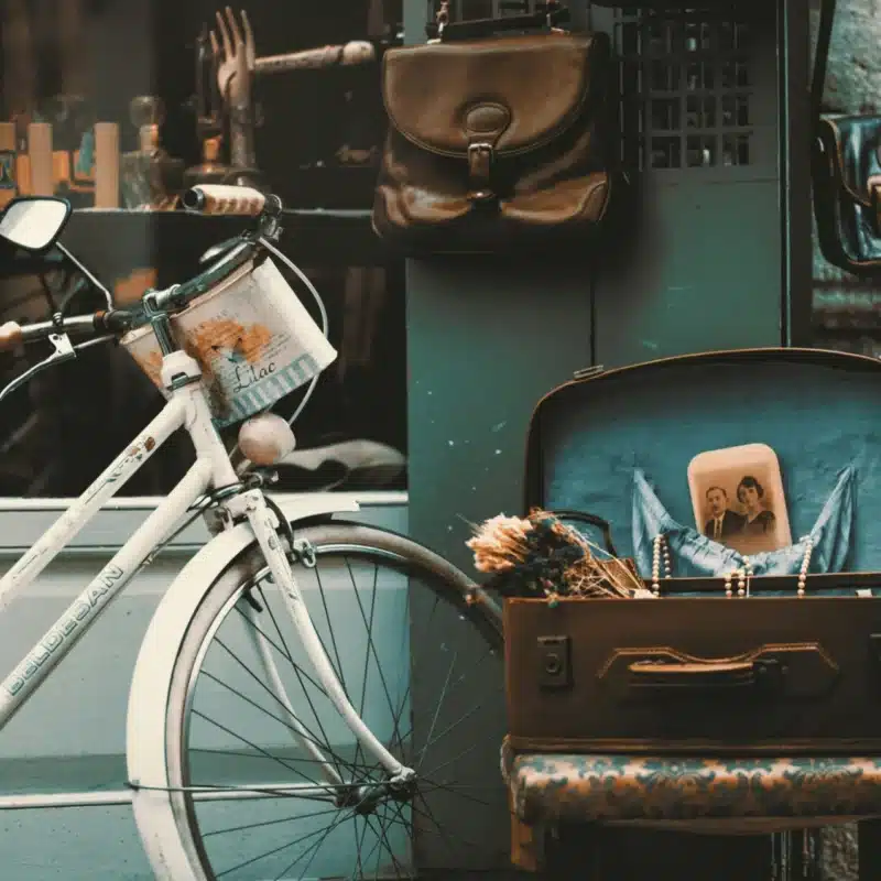 La Vigie #28 – Février 2025