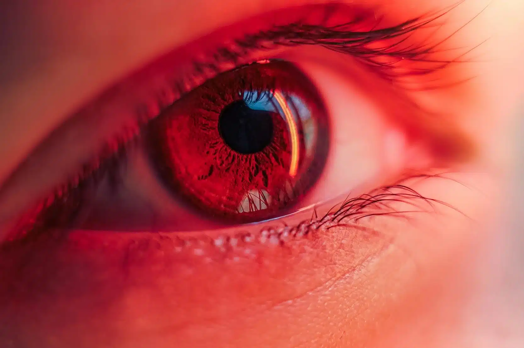 La Vigie #24 – Octobre 2024