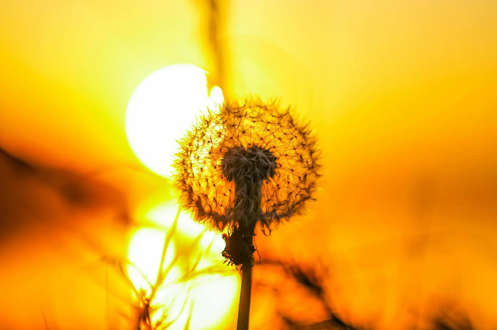 Carte blanche de la Prospective #3 – Rémy Knafou